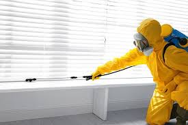 Best Fumigation Services  in Kaibab Estates West, AZ